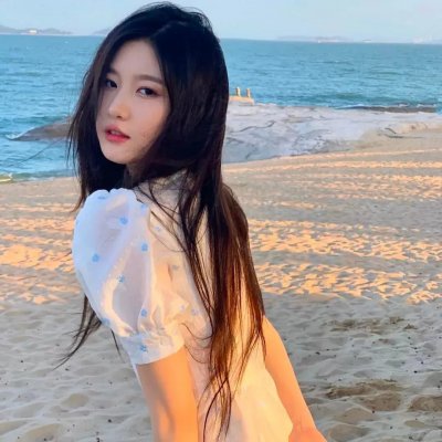 梅花档案